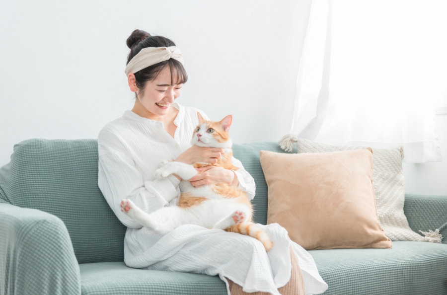 どんな条件で探せば理想の単身向け物件に出会える？